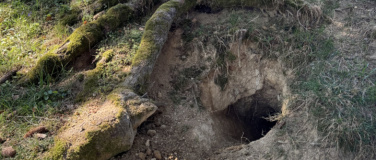 Event-Image for 'Exkursion - Suche nach Spuren, F&auml;hrten, Frass und Federn'