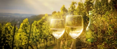 Event-Image for 'Weingefl&uuml;ster mit Felix Pieper'