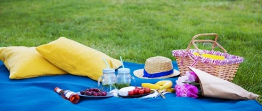 Event-Image for 'PICKNICK IM PARK'