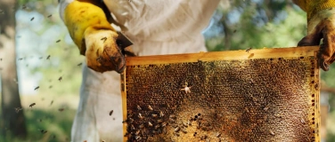 Event-Image for 'Naturama Kinderclub: Bei der Imkerin und ihrem Bienenvolk'
