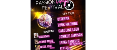 Event-Image for 'Passionvinyl Festival'