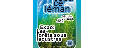 Event-Image for 'Expo : Les forêts sous-lacustres (jusqu’au 20 septembre)'