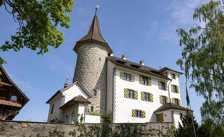 Event-Image for 'Führungen im Schloss Schauensee'