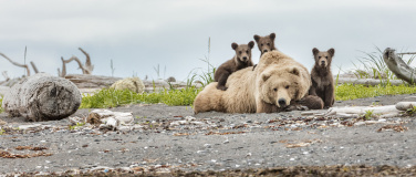 Event-Image for 'KANADA WOCHEN: Best of Alaska'