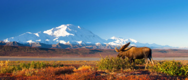 Event-Image for 'Alaska - Wildes Land - Explora Live Reportage'
