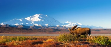 Event-Image for 'Explora: Alaska - Wildes Land'