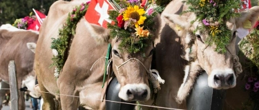 Event-Image for 'Alpabfahrt & Dorffest Innertkirchen – Samstag, 13. September'