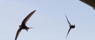 Event-Image for 'Öffentliche Stadtführung - „Zug aus der Vogelperspektive“'