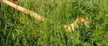 Event-Image for 'BADABUM Atelier mit Creative Groove'