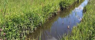 Event-Image for 'Exkursion: Naturvielfalt im Altmoos'