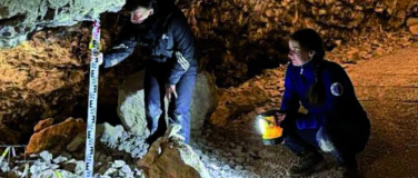 Event-Image for 'Altsteinzeitgrabung neu beurteilt'