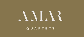 Event organiser of Mehr als Film. Mehr als Konzert - Stummfilmauff&uuml;hrung