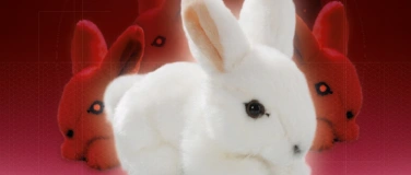 Event-Image for '"Angst oder Hase" von Julia Haenni'