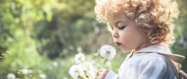 Event-Image for 'Anlaufstelle Frühe Kindheit'