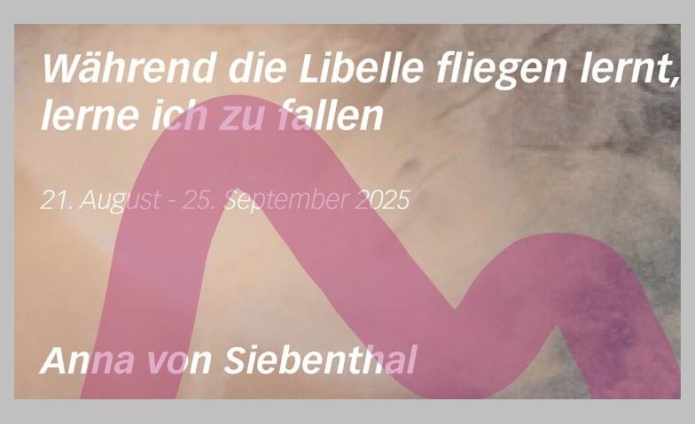 Event-Image for 'Anna von Siebenthal im Kunstgang der PMS Kreuzlingen'