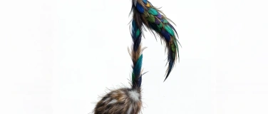 Event-Image for 'Voices from . . . The Animal Kingdom - Das Tier im Lied'