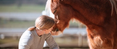 Event-Image for 'Pferd im Fokus'