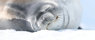 Event-Image for 'Segelreise in die Antarktis'