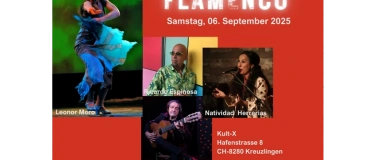 Event-Image for 'Flamenco-Konzert'