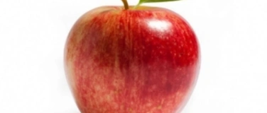 Event-Image for 'Kimchi Gemüse einmachen'