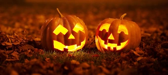 Veranstalter:in von Halloween Party