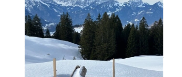 Event-Image for 'Schneeschuhtour Arvenb&uuml;el SG'