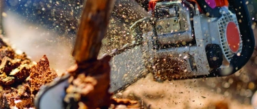 Event-Image for 'Holzsymposium'