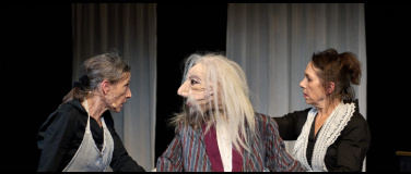 Event-Image for 'Auf Bäume klettern'