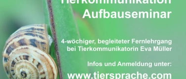 Event-Image for 'Aufbauseminar Tierkommunikation (online)'