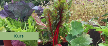 Event-Image for 'ProSpecieRara Kurs: Gem&uuml;sevielfalt auf dem Balkon'