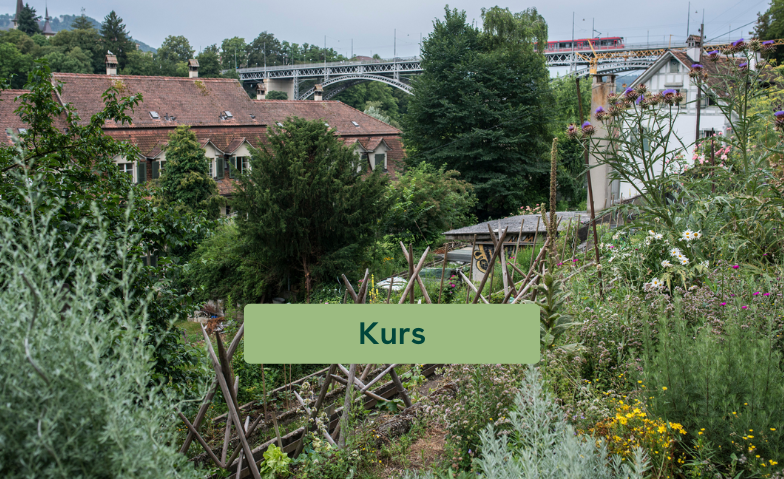 Biologisch G&auml;rtnern mehrteiliger Bioterra Kurs Tickets