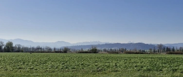 Event-Image for 'NVVT Herbstexkursion zum Wauwilermoos'