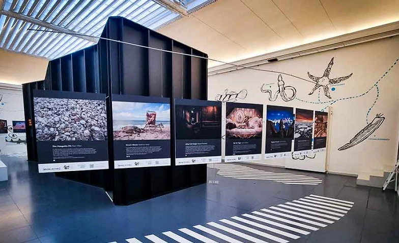 Event-Image for 'Orangs-outans arrivent en Suisse romande: MOVING PICTURES'