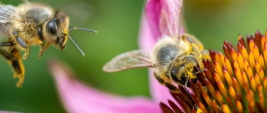 Event-Image for 'Fr&uuml;hlingstag'