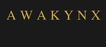 Organisateur de Spark by AwakynX