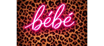 Organisateur de B&eacute;b&eacute; @LECIEL