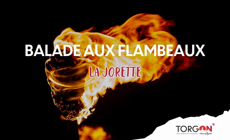 Event-Image for 'Balade aux flambeaux'