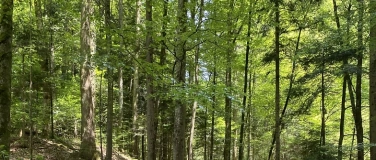 Event-Image for 'Entdeckungsreise durch die wunderbare Welt des Waldes'