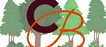 Organisateur de Weltgeschichtentag - Leuchten in der Nacht