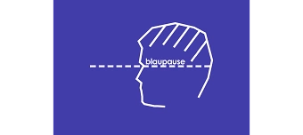 Event organiser of Blaupause Sommerparty Coachella