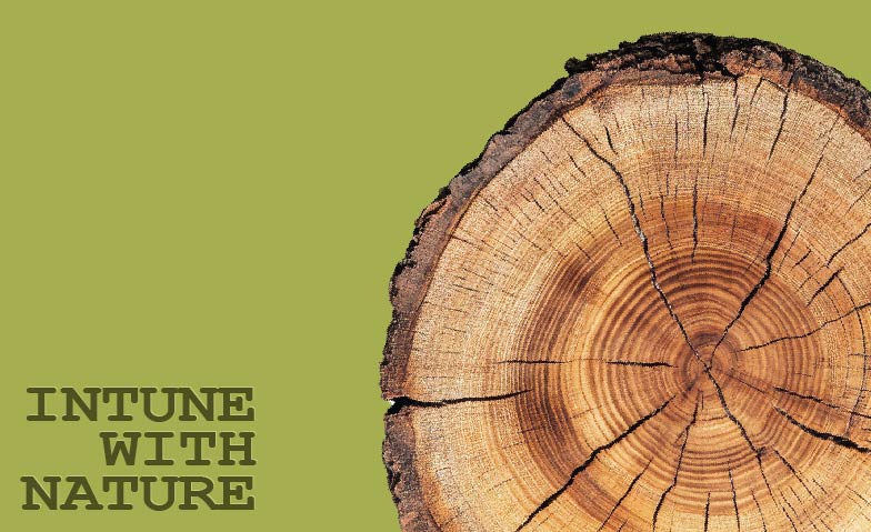 Event-Image for 'INTUNE WITH NATURE'