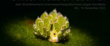 Event-Image for 'Unterwssserfotoausstellung  Unterwasserfestival.ch'