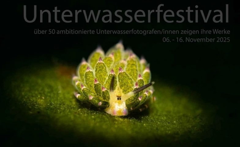 Event-Image for 'Unterwssserfotoausstellung Unterwasserfestival.ch'