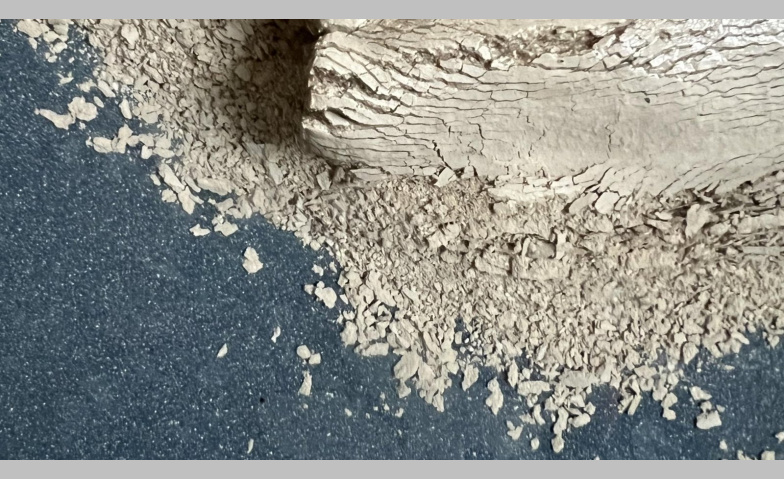 Event-Image for 'b&aacute;rbara nimke - rest:los'