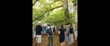 Event-Image for 'Baumbegegnung Mit Sahar Tavakoli'
