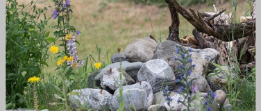 Event-Image for 'Bauwerke im Naturgarten'