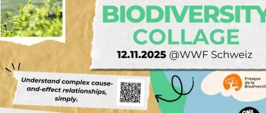 Event-Image for 'Biodiversity Collage'
