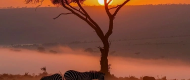 Event-Image for 'Jahreskonzert 2026'