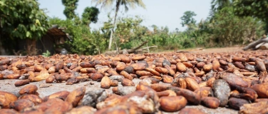 Event-Image for 'Kultur über Mittag: Cacao! Einverleibte Exotik'