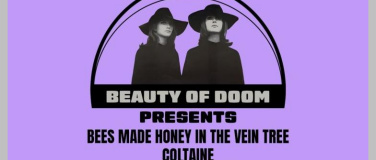 Event-Image for 'Bees Made Honey in the Vein Tree &amp; Coltaine Live'